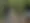 Filmaufnahmen auf einem Waldweg